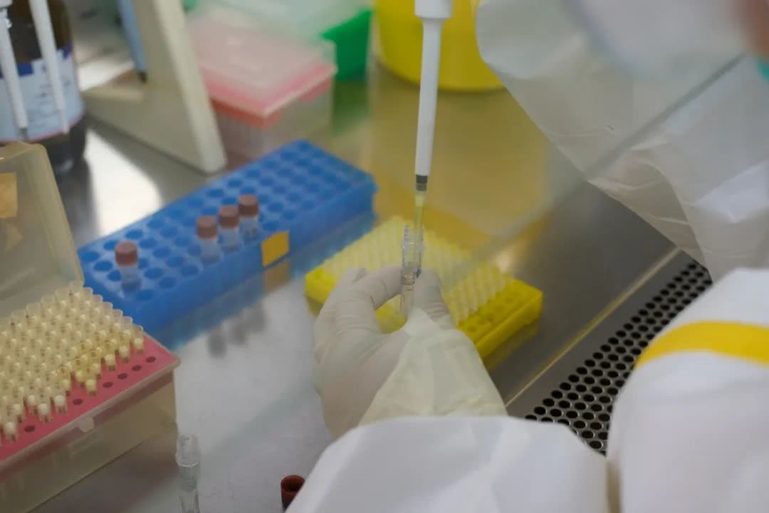 核酸檢測又降價(jià)！多地增設(shè)24小時(shí)檢測服務(wù)機(jī)構(gòu)